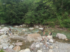 IMG_20240621_131613_1