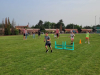 IMG-20240621-WA0017