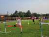 IMG-20240621-WA0022
