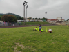 IMG_20240620_191936