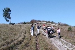 Pohod na Vremščico, 4. - 9. r, 22. 10. 2019